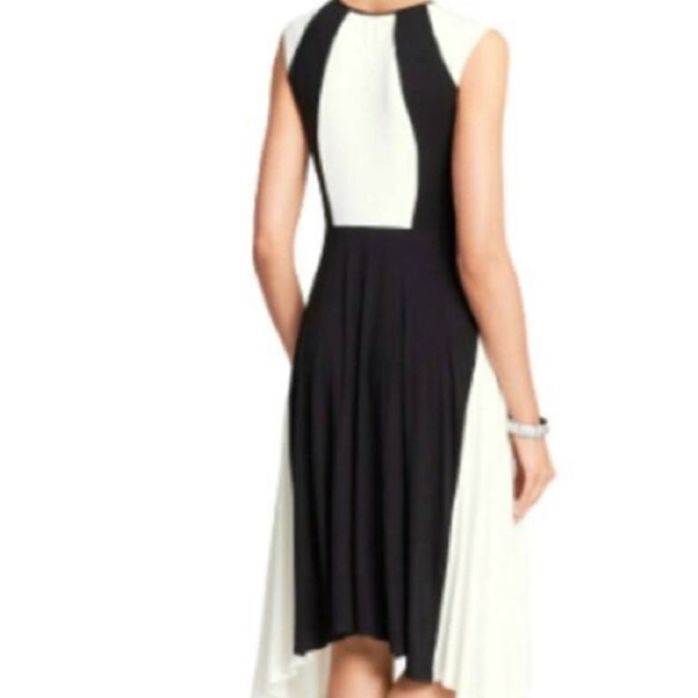 Elegant Black and White Dress - Picture 3 of 6